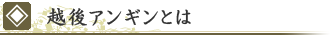 越後アンギンとは