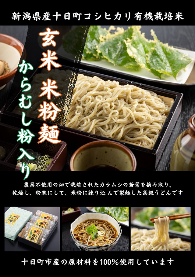 玄米米粉麺 からむし粉入り